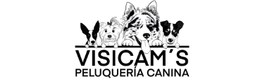 Visicams